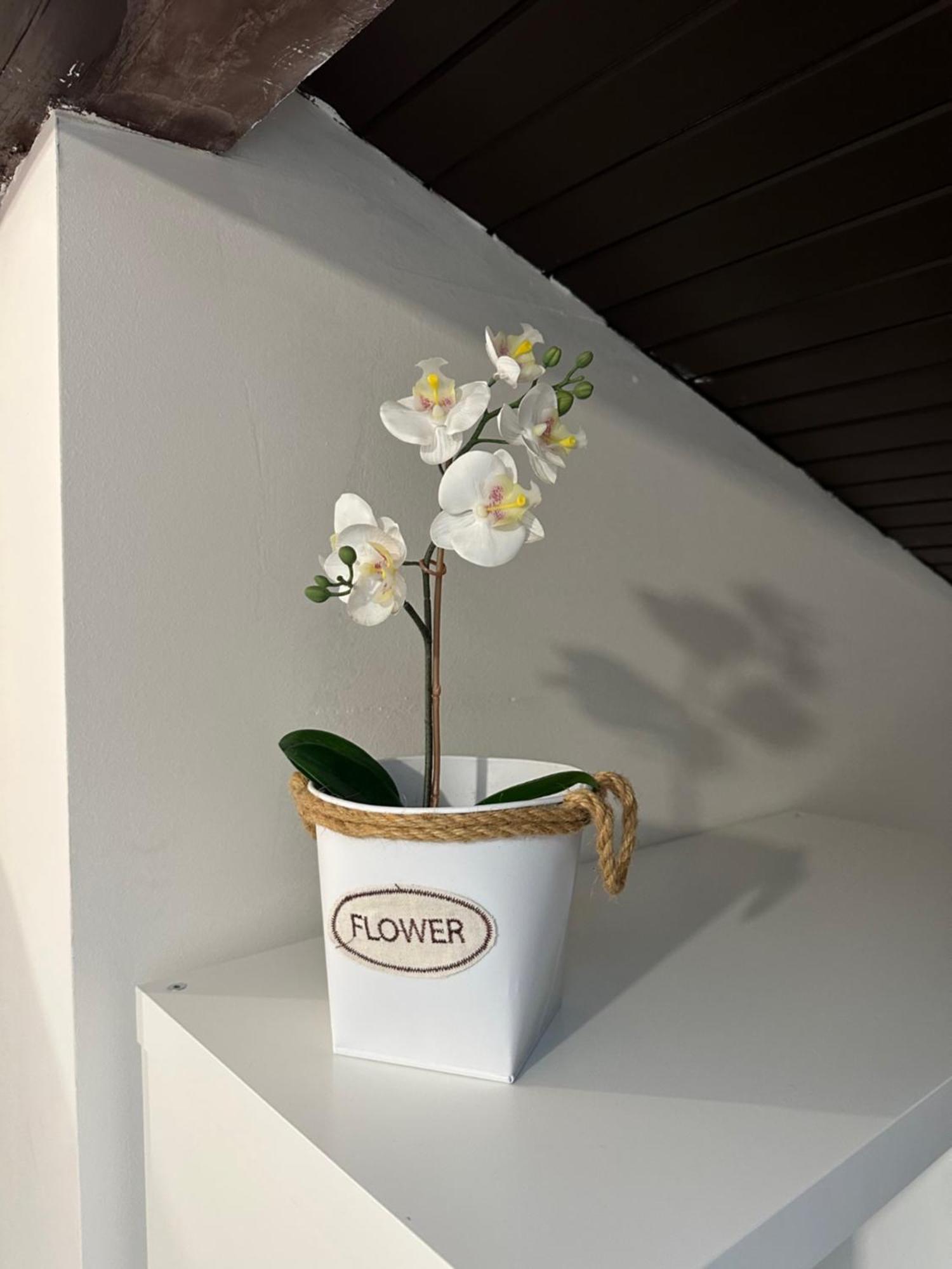 Apartmany Luxor Česká Lípa Dış mekan fotoğraf